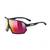 shades_of_speed_brille_gewinn Preis UVEX RADBRILLE